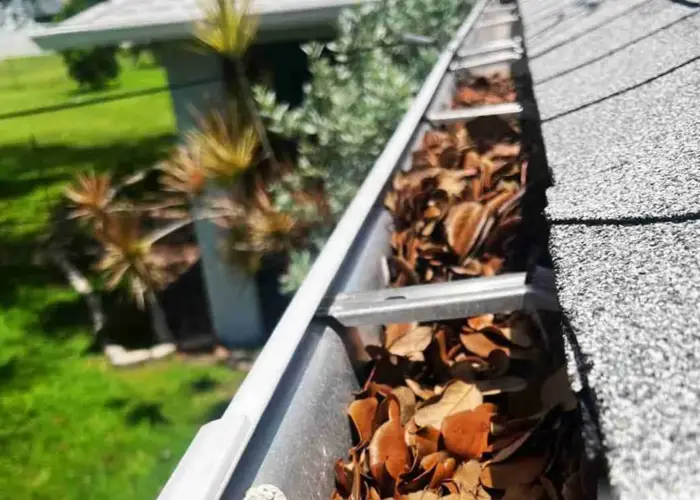 Takoma Park gutter cleaning home page